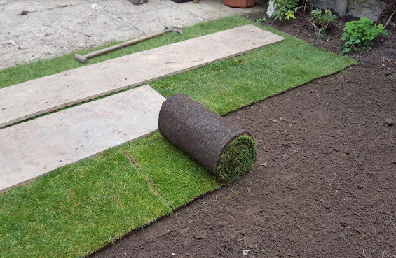 Budget Lawn Turf Multibuy - General Purpose / Hardwearing Lawn