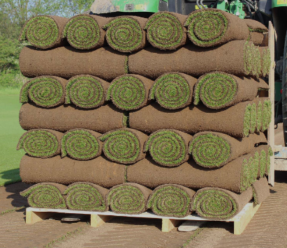 Budget Lawn Turf Multibuy - General Purpose / Hardwearing Lawn