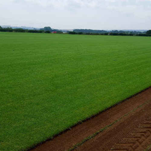 Premier Lawn Turf Multibuy - General Purpose / Hardwearing Lawn