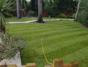 Premier Lawn Turf Multibuy - General Purpose / Hardwearing Lawn
