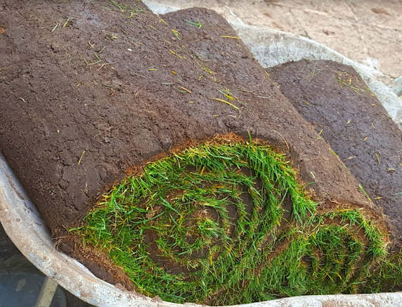 Premier Lawn Turf Multibuy - General Purpose / Hardwearing Lawn